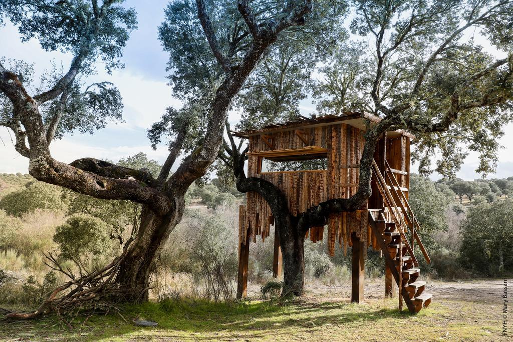 Espeja Eco-Lodge En La Reserva Privada Campanarios De Azaba - Proyecto De Conservacion מראה חיצוני תמונה