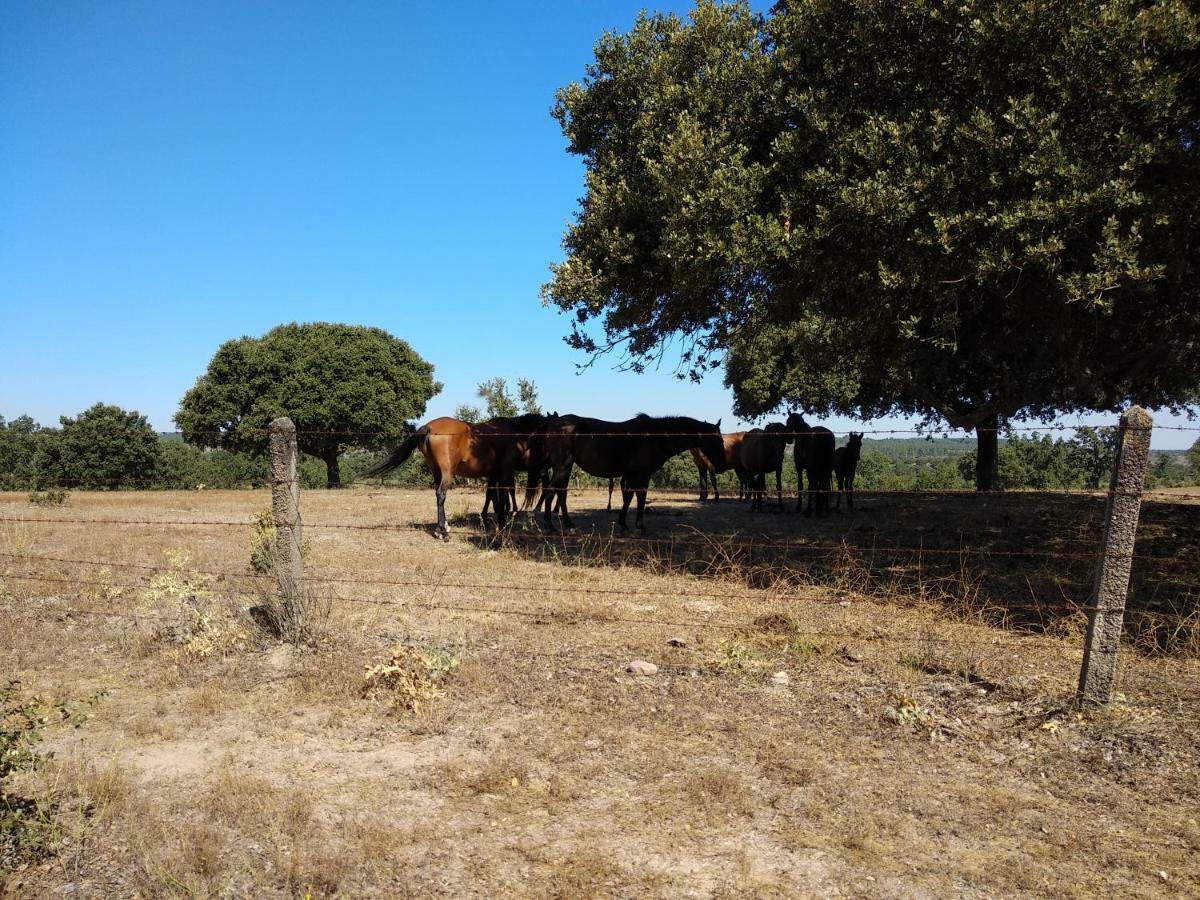 Espeja Eco-Lodge En La Reserva Privada Campanarios De Azaba - Proyecto De Conservacion מראה חיצוני תמונה
