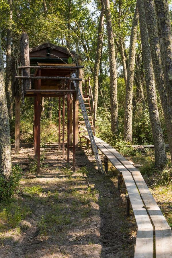 Espeja Eco-Lodge En La Reserva Privada Campanarios De Azaba - Proyecto De Conservacion מראה חיצוני תמונה