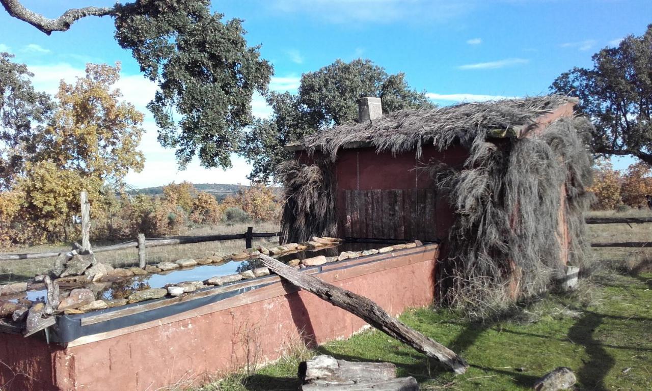 Espeja Eco-Lodge En La Reserva Privada Campanarios De Azaba - Proyecto De Conservacion מראה חיצוני תמונה